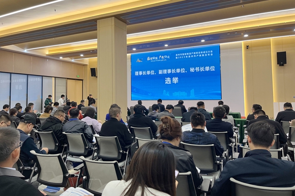 选举图片.jpg